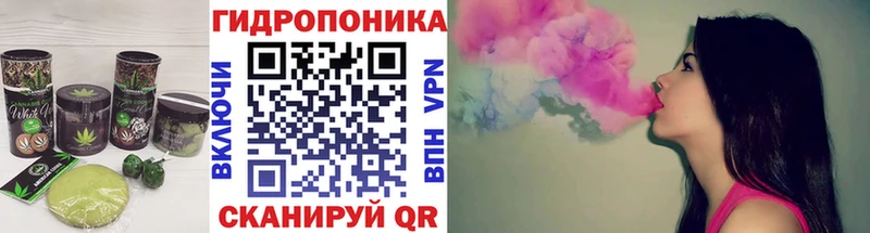 Купить  Ядрин  Cannafood конопля 