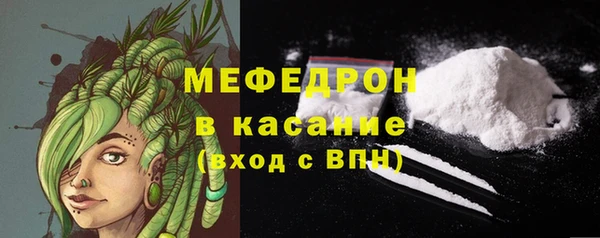 молекула духа Богданович