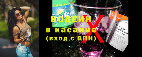 молекула духа Богданович
