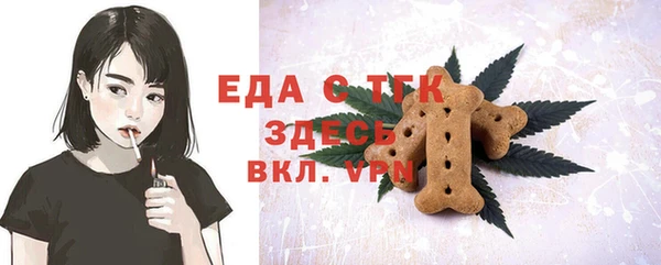 молекула духа Богданович