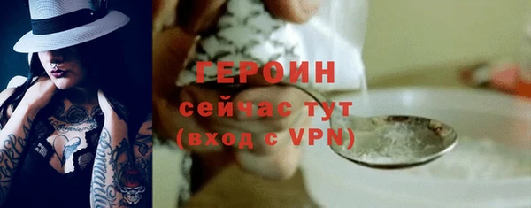 молекула духа Богданович