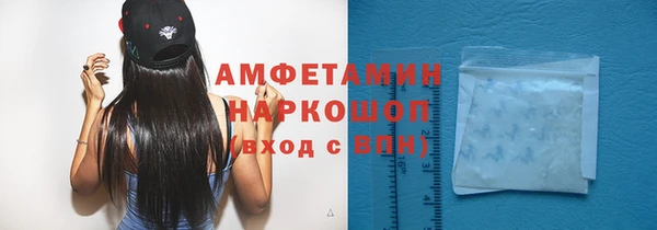 молекула духа Богданович