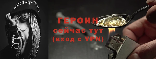 молекула духа Богданович