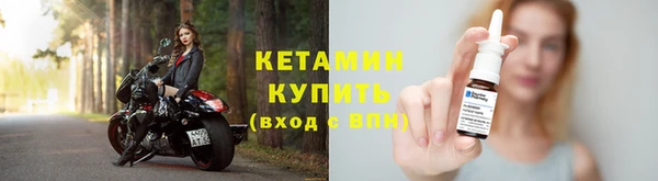молекула духа Богданович