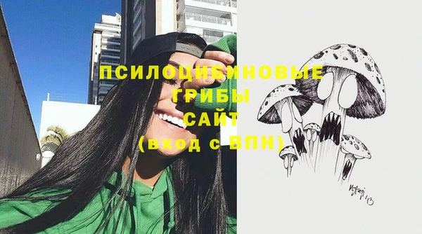 jwh Богородск