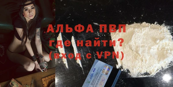 молекула духа Богданович