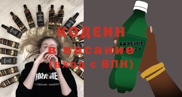 молекула духа Богданович