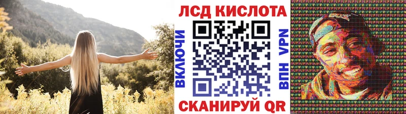 Купить где  Ядрин  Наркотические марки 1500мкг 