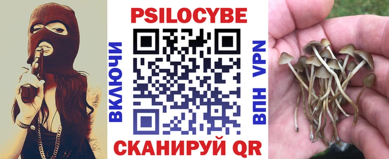 Псилоцибиновые грибы ЛСД  Купить закладки  Ядрин 